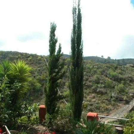 Casa Verde El Jaral